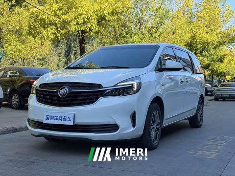 2022 Buick GL8 Land Executive Cabin 652T Luxury - ავტომობილი ჩინეთიდან