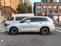 AITO Wenjie M7 1.5T RWD Plus 5-Seater - ფოტო 12
