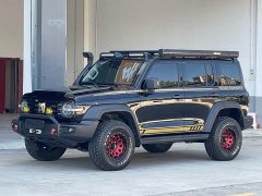 Tank 300 2021 Off-Road Edition 2.0T Conqueror - ფოტო 1