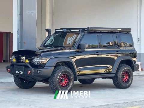 2022 Tank 300 2021 Off-Road Edition 2.0T Conqueror - ავტომობილი ჩინეთიდან