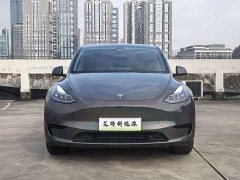 Tesla Model Y Rear-Wheel Drive - ფოტო 2