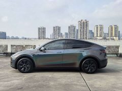 Tesla Model Y Rear-Wheel Drive - ფოტო 6
