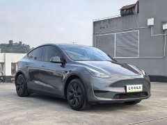 Tesla Model Y Rear-Wheel Drive - ფოტო 7