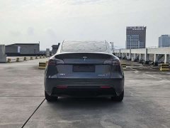 Tesla Model Y Rear-Wheel Drive - ფოტო 8