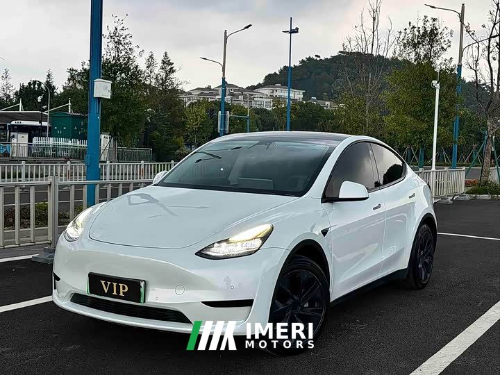 Tesla Model Y Rear-Wheel Drive - ავტომობილი ჩინეთიდან