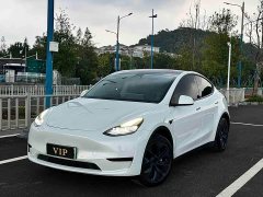 Tesla Model Y Rear-Wheel Drive - ფოტო 1