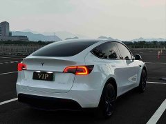 Tesla Model Y Rear-Wheel Drive - ფოტო 8