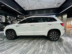 Skoda Karoq Corollac TSI280 Premium Edition - фото 8