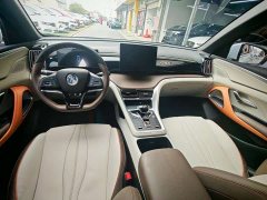 BYD Song Pro New Energy DM-i 51km Luxury - ფოტო 4
