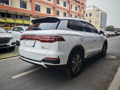 BYD Song Pro New Energy DM-i 51km Luxury - ფოტო 8