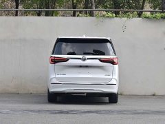 Buick GL8 ES Luxe Enjoyment Edition - ფოტო 17