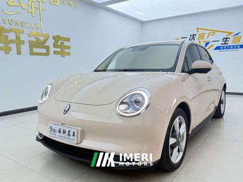 2023 ORA Good Cat 401km Standard Range Deluxe Edition LFP Battery - ავტომობილი ჩინეთიდან