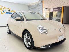 ORA Good Cat 401km Standard Range Deluxe Edition LFP Battery - ფოტო 11