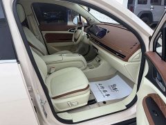 ORA Good Cat 401km Standard Range Deluxe Edition LFP Battery - ფოტო 13