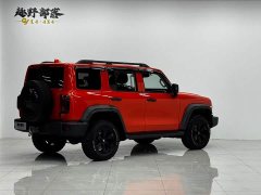 Tank 300 2021 Off-Road Edition 2.0T Challenger - ფოტო 12