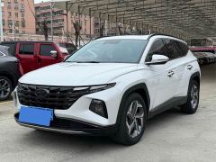 Hyundai Tucson L 1.5T DCT LUX Luxury Edition - фото 1