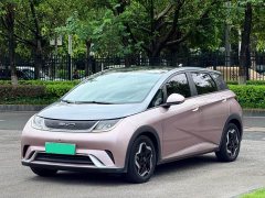 BYD Dolphin 405km Fashion Edition - ფოტო 1