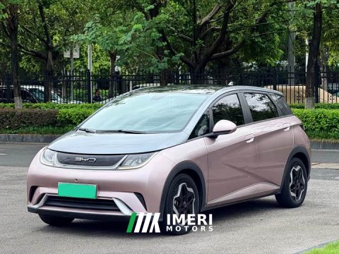 2022 BYD Dolphin 405km Fashion Edition - ავტომობილი ჩინეთიდან