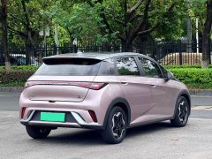BYD Dolphin 405km Fashion Edition - ფოტო 4