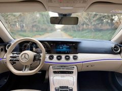 Mercedes-Benz E-Class (Imported) E 260 Coupe - ფოტო 12