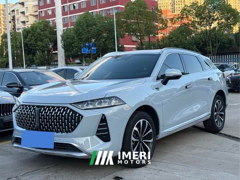 2021 Great Wall WEY Mocha 2.0T Two-Wheel Drive Premium Edition - ავტომობილი ჩინეთიდან