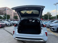 Great Wall WEY Mocha 2.0T Two-Wheel Drive Premium Edition - ფოტო 8