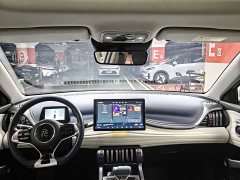 BYD Yuan Plus 430KM Premium Edition - ფოტო 9