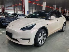 Tesla Model Y Long Range All-Wheel Drive - ფოტო 1