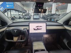Tesla Model Y Long Range All-Wheel Drive - ფოტო 13