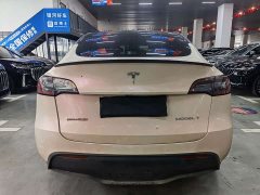 Tesla Model Y Long Range All-Wheel Drive - ფოტო 5