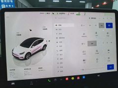 Tesla Model Y Long Range All-Wheel Drive - ფოტო 9