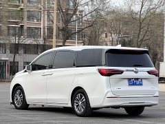 Buick GL8 ES Luxe Enjoyment Edition - ფოტო 6