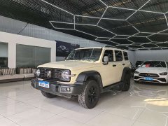 Tank 300 2.0T Gasoline Conqueror - ფოტო 1