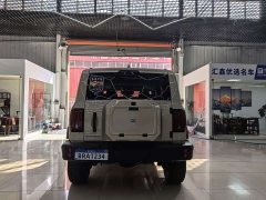Tank 300 2.0T Gasoline Conqueror - ფოტო 19