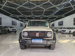 Tank 300 2.0T Gasoline Conqueror - ფოტო 2