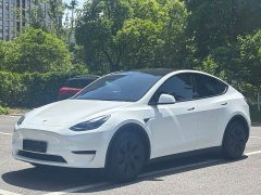 Tesla Model Y Rear-Wheel Drive - ფოტო 1