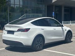 Tesla Model Y Rear-Wheel Drive - ფოტო 19