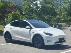 Tesla Model Y Rear-Wheel Drive - ფოტო 3