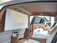 Li Auto Zun S800 2025 Extended Range Starlight Executive Edition 4-Seater (192-line LiDAR) - ფოტო 13