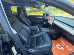 Tesla Model 3 Standard Range RWD Upgrade 3D6 - ფოტო 11