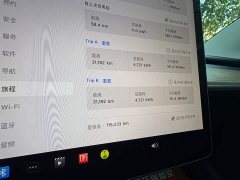 Tesla Model 3 Standard Range RWD Upgrade 3D6 - ფოტო 12