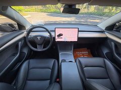 Tesla Model 3 Standard Range RWD Upgrade 3D6 - ფოტო 9