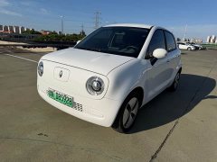 ORA Black Cat 301km Cute Pet Edition LFP Battery - ფოტო 1