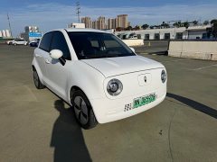 ORA Black Cat 301km Cute Pet Edition LFP Battery - ფოტო 3