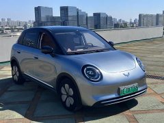 Wuling Binguo 2025 333km Lingxi Premium Edition - ფოტო 3