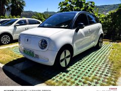 ORA Black Cat 301km Cute Pet Edition - ფოტო 1