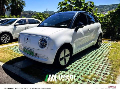 2021 ORA Black Cat 301km Cute Pet Edition - ავტომობილი ჩინეთიდან