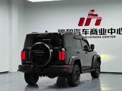Tank 300 Off-Road Edition 2.0T Conqueror - ფოტო 4