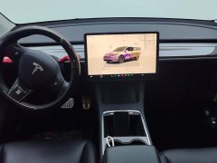 Tesla Model Y Rear-Wheel Drive - ფოტო 12