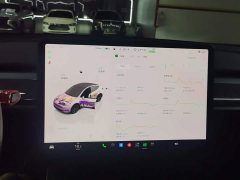 Tesla Model Y Rear-Wheel Drive - ფოტო 14